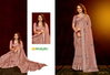 Nigam Work Dusty Vol 2 By Rajguru Cotton Daily Wear Saree Orders In India